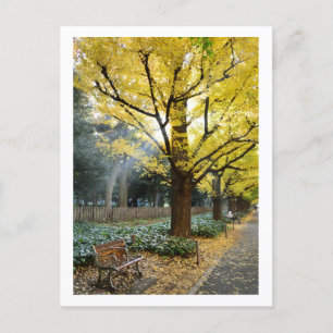 Postal Ginkgo Trees: Meiji Jingu Gaien, Tokio