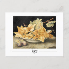 Postal Giovanna Garzoni #1 - Postcard Bella Artes