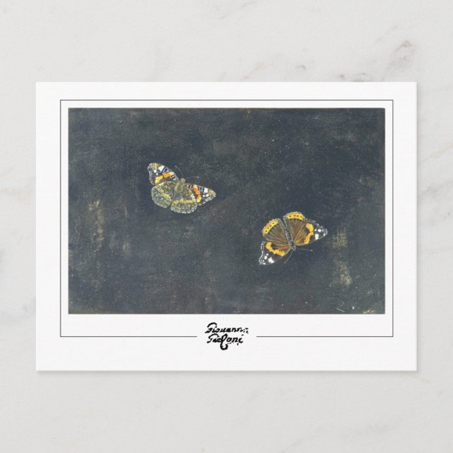 Postal Giovanna Garzoni #2 - Postcard Bella Artes (Anverso)