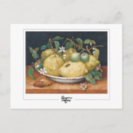 Postal Giovanna Garzoni #4 - Postcard Bella Artes