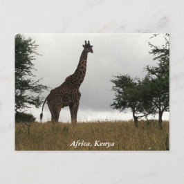 Postal Girafa keniana en estado salvaje