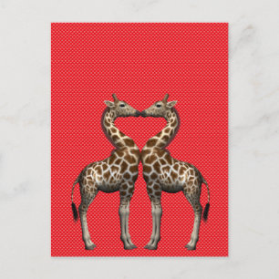 Postal Girafas enamoradas
