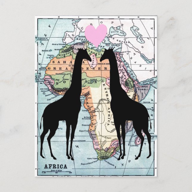 Postal Girafas enamoradas (Anverso)