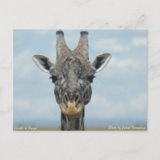 Postal Girafe en Kenia