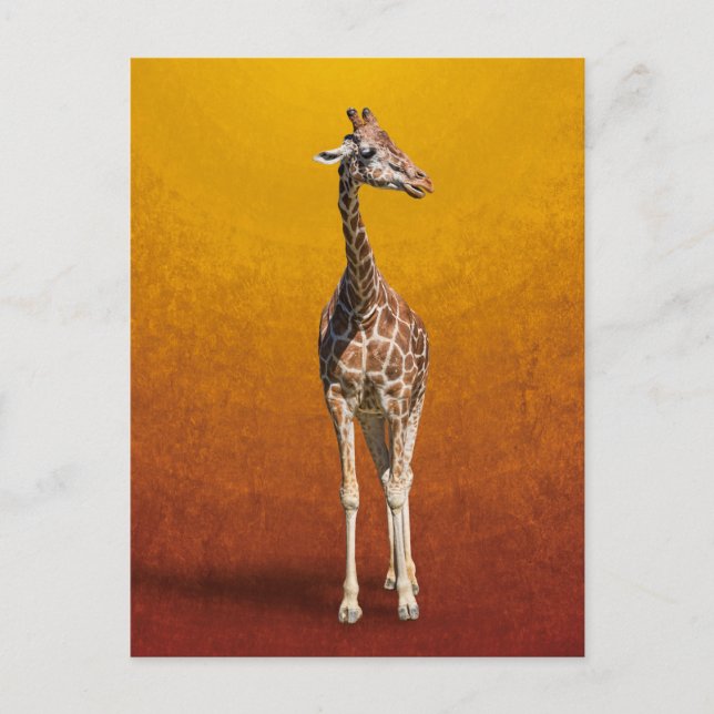 POSTAL GIRAFFE (Anverso)