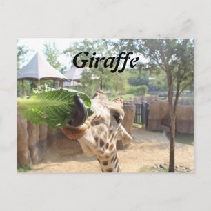 Postal Giraffe # 12