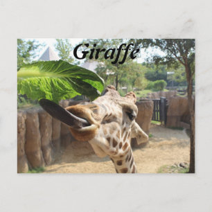 Postal Giraffe # 14