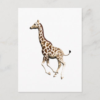 Postal Giraffe 3