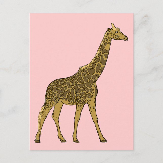 Postal Giraffe adorable (Anverso)
