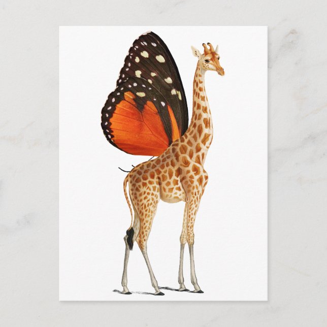Postal Giraffe alada de mariposa (Anverso)