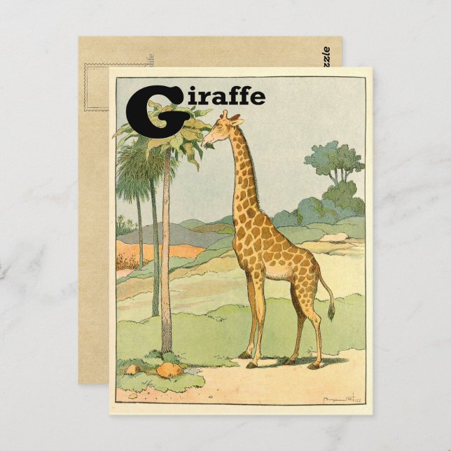 Postal Giraffe Alphabet Animal (Anverso / Reverso)
