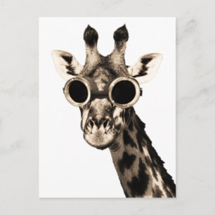 Postal Giraffe con gafas de sol de vapor
