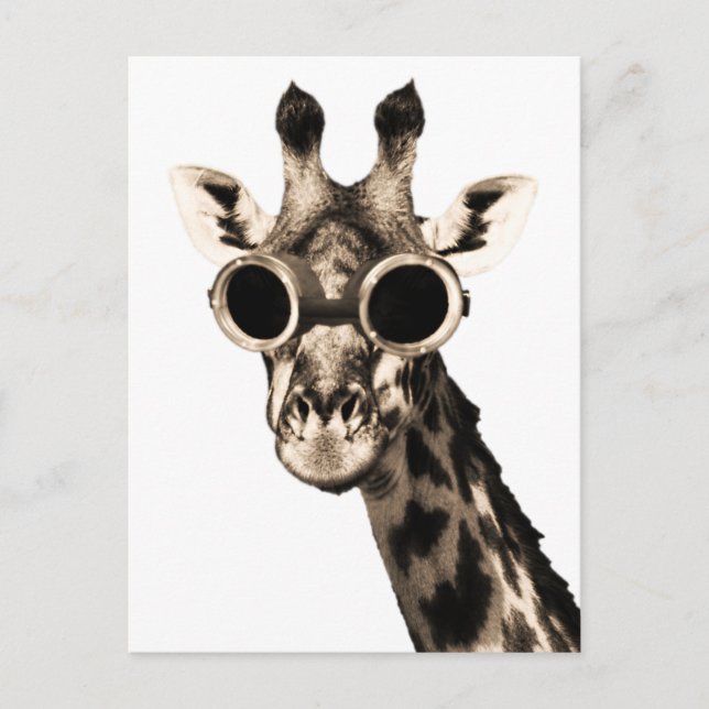 Postal Giraffe con gafas de sol de vapor (Anverso)
