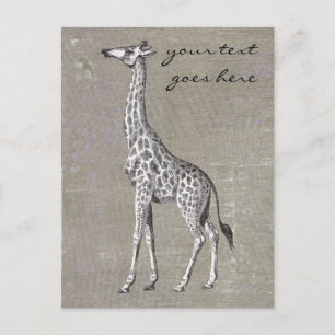 Postal Giraffe de época
