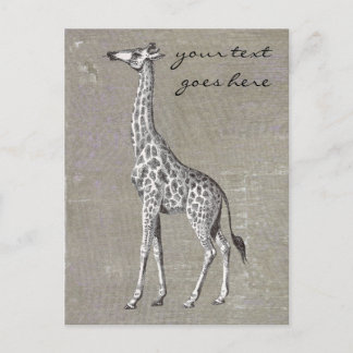Postal Giraffe de época