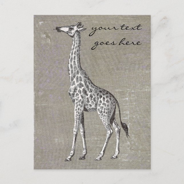 Postal Giraffe de época (Anverso)
