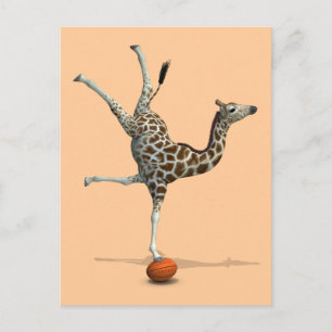 Postal Giraffe de equilibrio