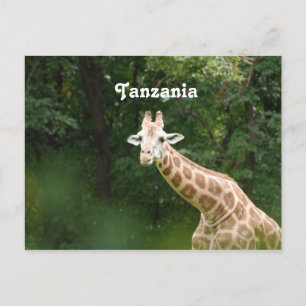 Postal Giraffe de Tanzania