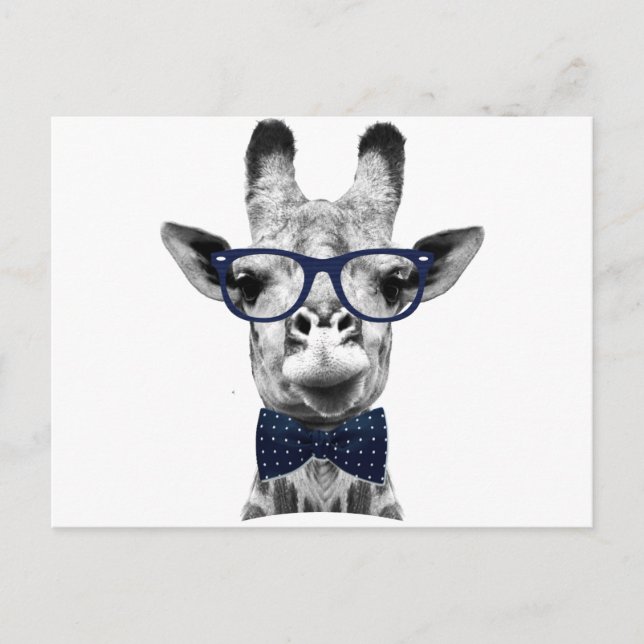 Postal Giraffe divertida de la época (Anverso)