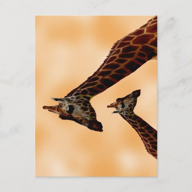 Postal Giraffe doble problema, (Anverso)