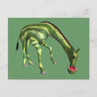 Postal Giraffe Eating Watermelon