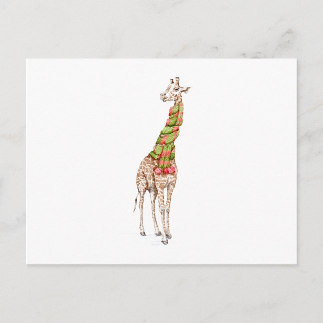 Postal Giraffe en una bufanda (Anverso)