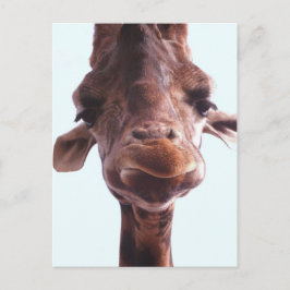 Postal Giraffe Funny Face