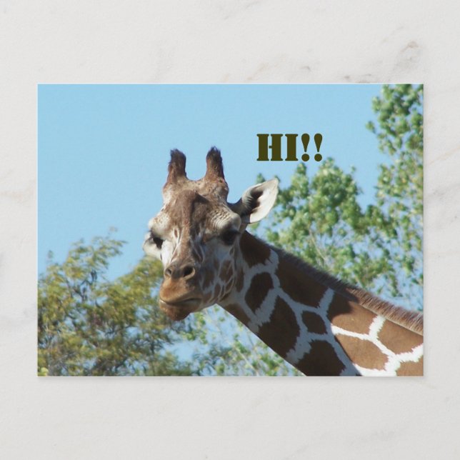 Postal Giraffe, ¡¡Hola!! (Anverso)