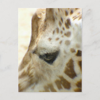 Postal Giraffe I