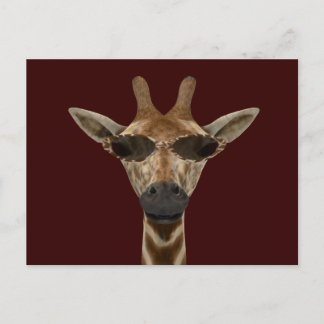 Postal Giraffe Incognito