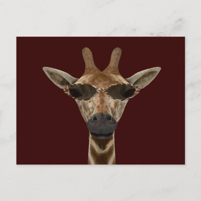 Postal Giraffe Incognito (Anverso)