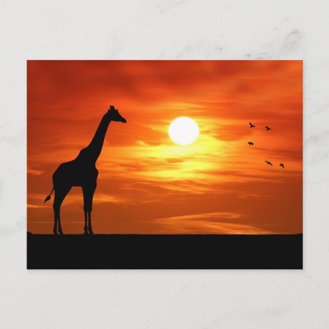 Postal Giraffe Silhouette al atardecer (Anverso)
