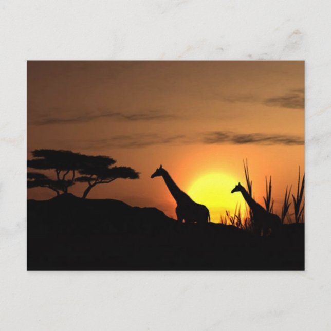 Postal Giraffe Silhouette - En blanco para tu propio mens (Anverso)