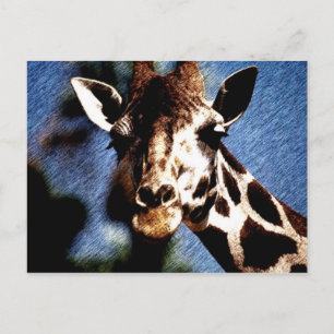 Postal Giraffe Sketch