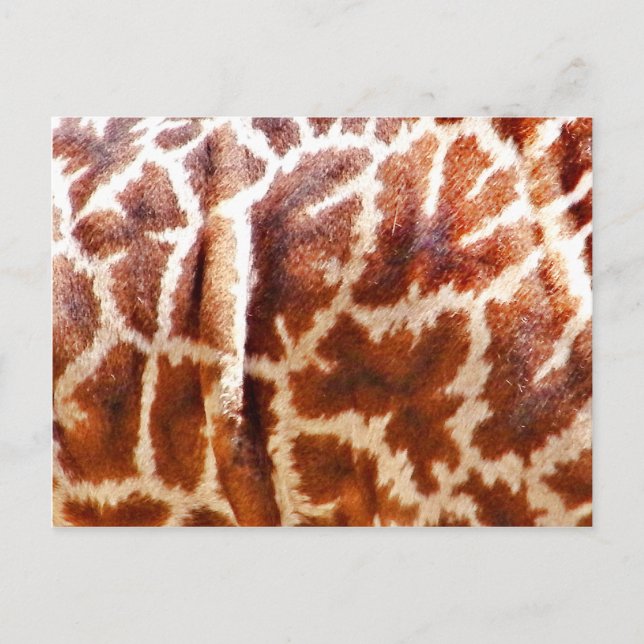 Postal Giraffe Skin_ (Anverso)