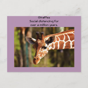 Postal Giraffe social a seis pies por Funnycomb