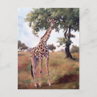 Postal Giraffe Standing Tall Postcard