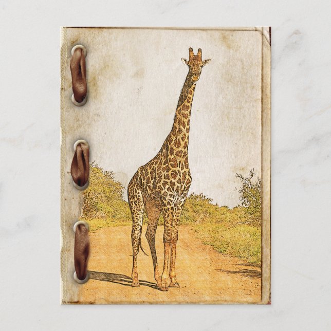 Postal Giraffe, Sudáfrica (Anverso)