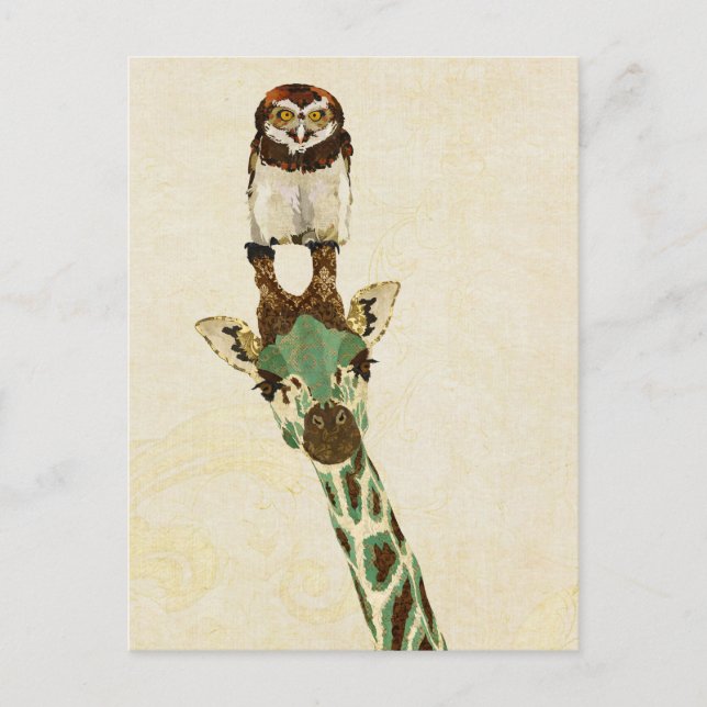 Postal GIRAFFE Y PEQUEÑA Postcarta OWL (Anverso)