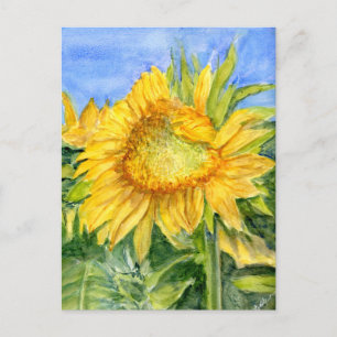 Postal Girasol