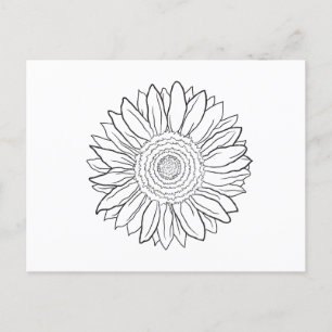 Postal girasol