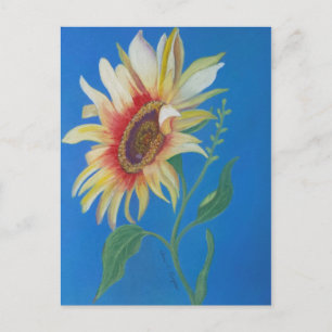 Postal Girasol