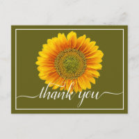 Girasol Amarillo Brillante Fondo Verde Gracias