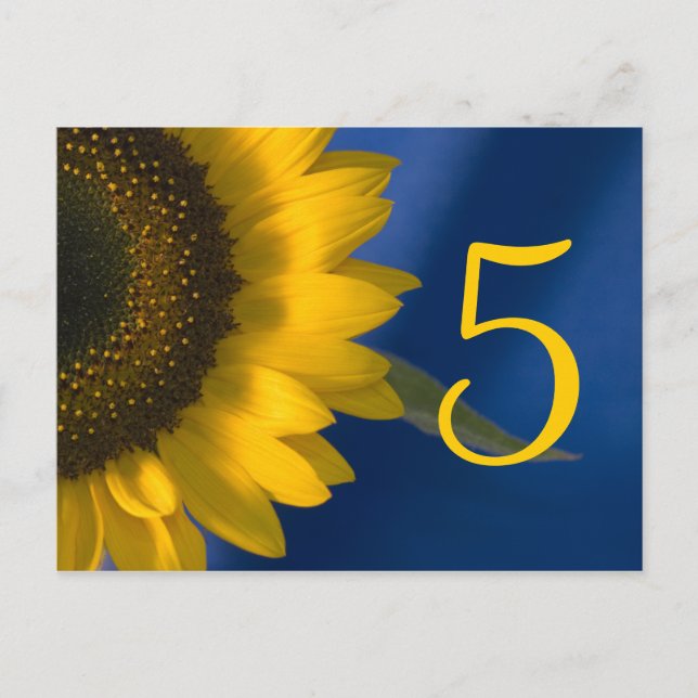Postal Girasol amarillo en número de mesa azul (Anverso)