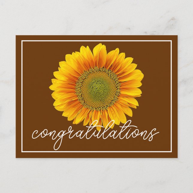 Postal Girasol Amarillo Fondo Marrón Felicidades (Anverso)