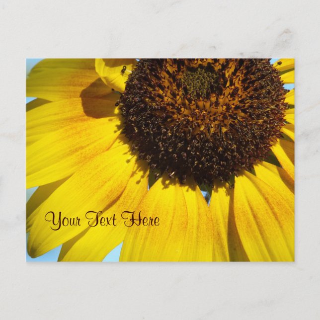 Postal girasol amarillo. -Personalizable (Anverso)