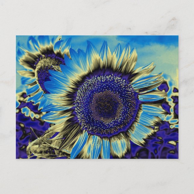 Postal Girasol azul (Anverso)