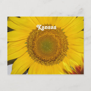 Postal Girasol en Kansas