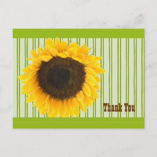 Postal Girasol Gracias Borde de banda y fondo