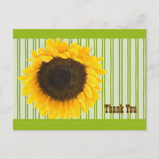 Postal Girasol Gracias Borde de banda y fondo